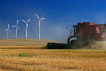 Harvesting combine with wind turbines in the background