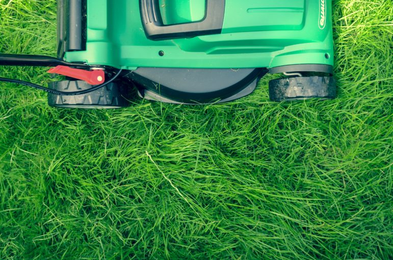 How to Maintenance & Care of Electric Lawn Mower? 