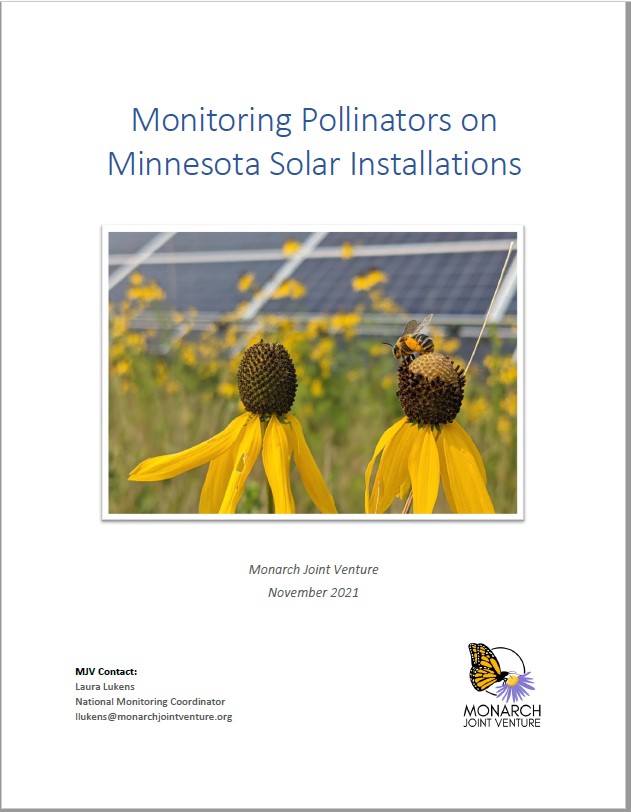 Monitoring Pollinators on Minnesota Solar Installations