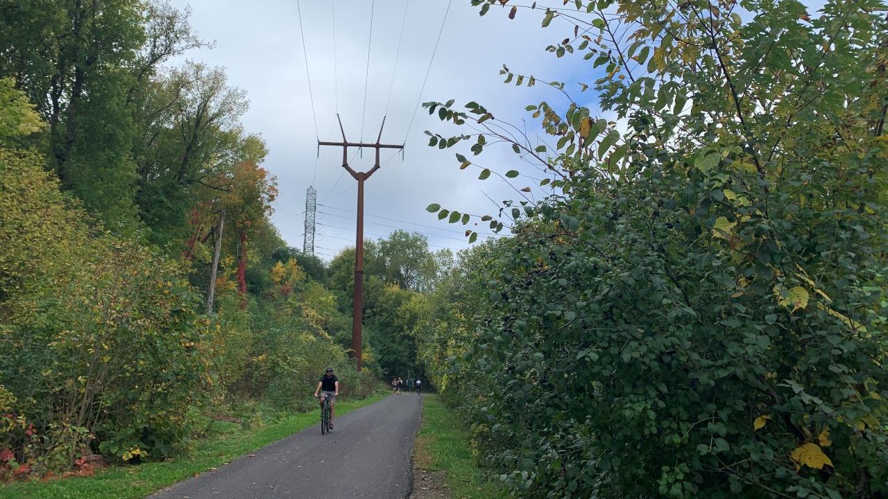 In the bottom half of this photo, a biker wearing a navy blue shirt and grey shorts pedals downhill on a paved trail surrounded by lush greenery. Tall transmission lines can be seen behind the biker, poking out of the greenery.