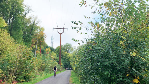 Person riding bike on trail with transmission line in background