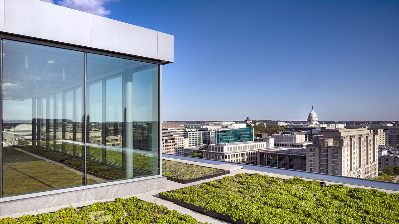 Roof of modern building with green roof. View of city skyline