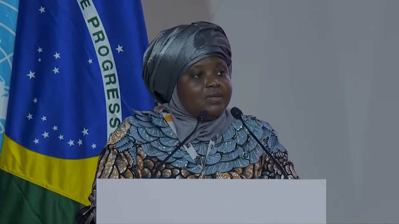Woman speaking at podium with the United Nations and Brazil flags behind her. 